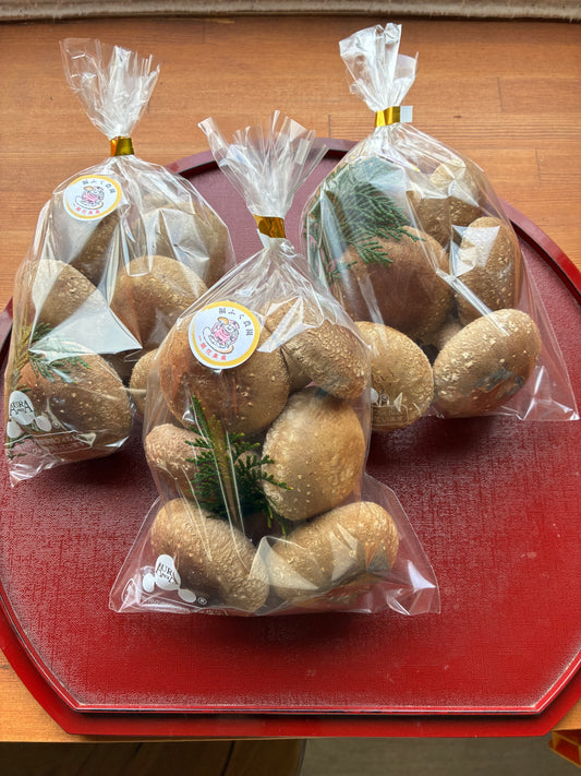 【ギフト】しいたけ｜手みやげセット｜贈答用｜３袋（約550ｇ）｜手提げ袋３枚